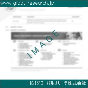グローバルリサーチ調査資料のイメージ